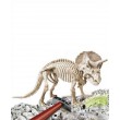 Arqueojugando Triceratops clementoni (55031)