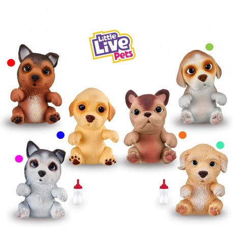 perro little live pets